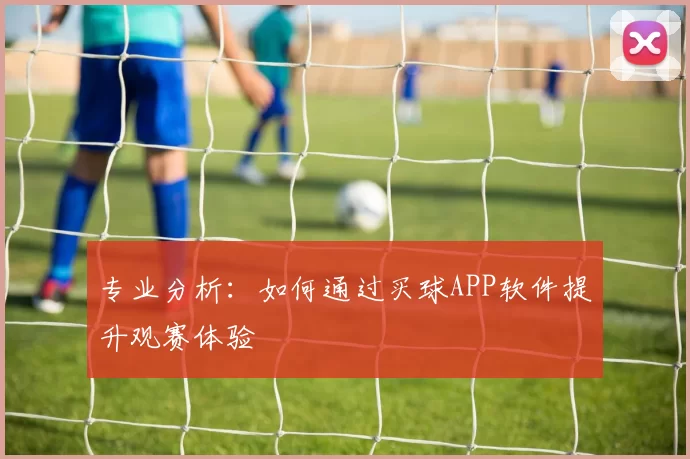 专业分析：如何通过买球APP软件提升观赛体验
