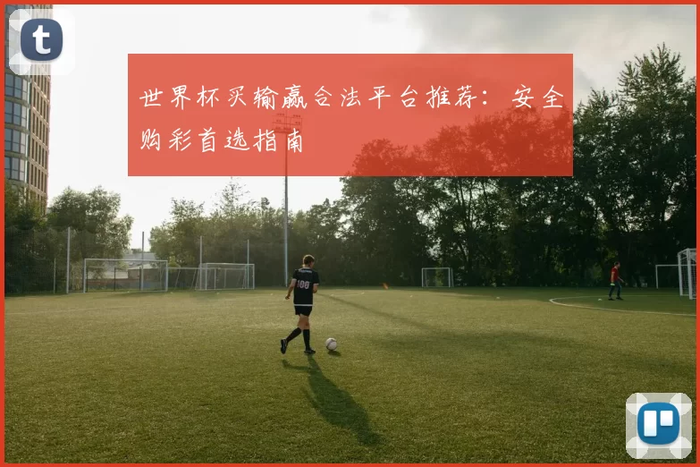 世界杯买输赢合法平台推荐：安全购彩首选指南
