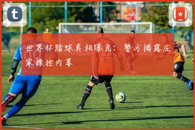 世界杯赌球真相曝光：警方揭露庄家操控内幕