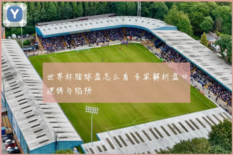世界杯赌球盘怎么看 专家解析盘口逻辑与陷阱