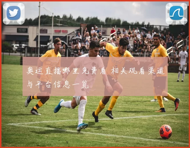 奥运直播哪里免费看 相关观看渠道与平台信息一览