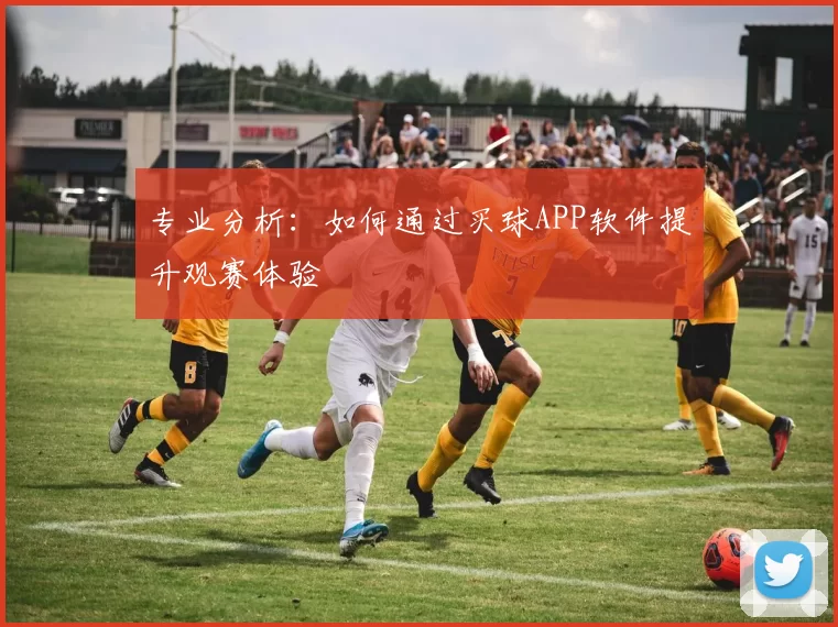 专业分析：如何通过买球APP软件提升观赛体验