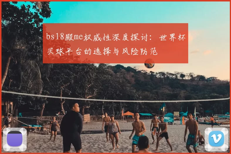 bs18殿me权威性深度探讨：世界杯买球平台的选择与风险防范