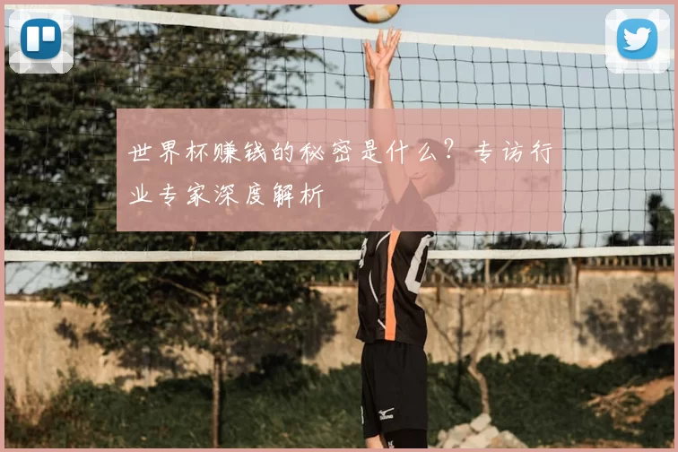 世界杯赚钱的秘密是什么？专访行业专家深度解析