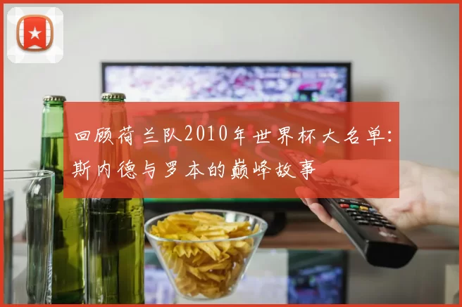 回顾荷兰队2010年世界杯大名单：斯内德与罗本的巅峰故事