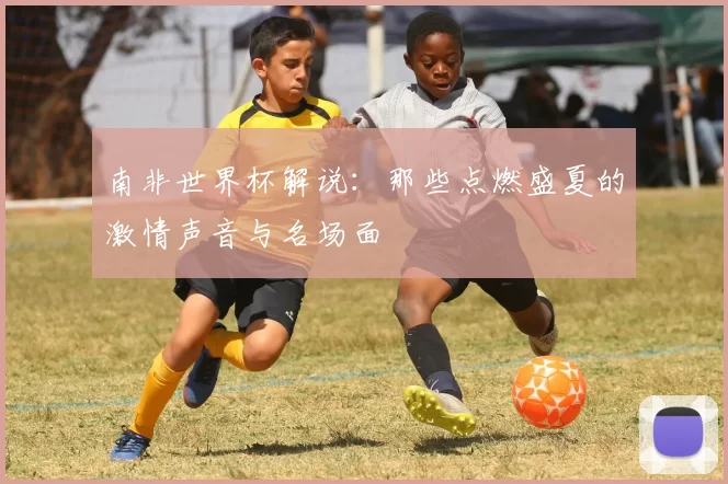 南非世界杯解说:那些点燃盛夏的激情声音与名场面