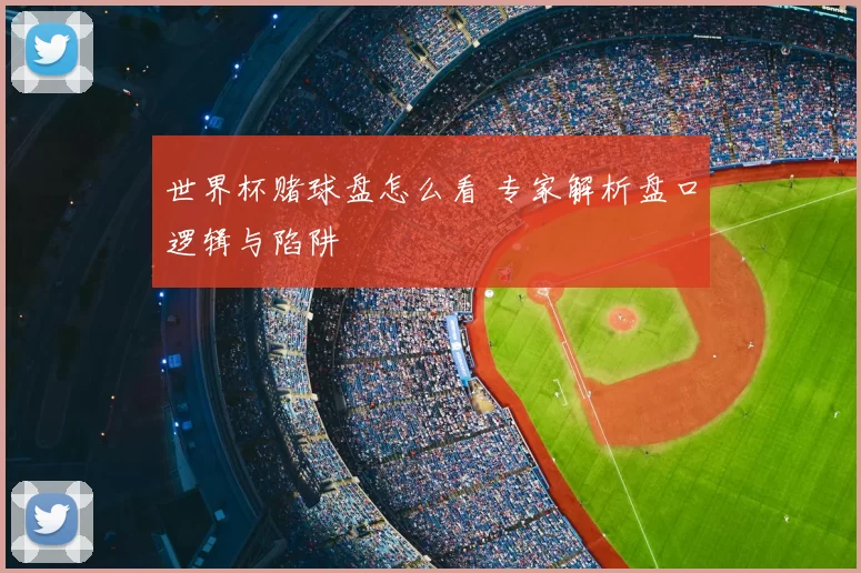 世界杯赌球盘怎么看 专家解析盘口逻辑与陷阱