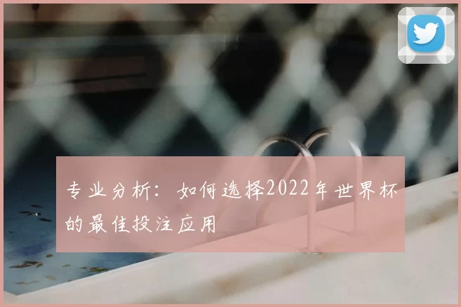 专业分析:如何选择2022年世界杯的最佳投注应用