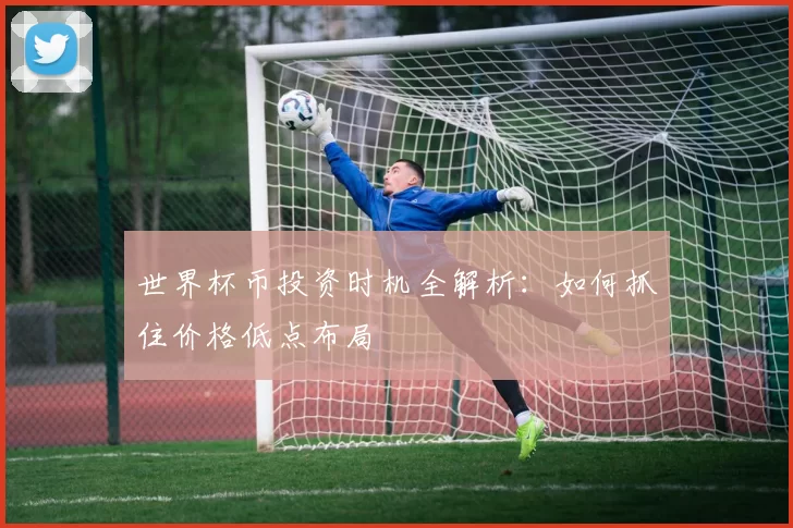 世界杯币投资时机全解析：如何抓住价格低点布局